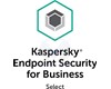 Endpoint Security for Business 1 year Base License KL48638APFS