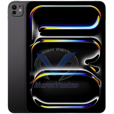 iPad Pro 11 pouces (2024) Wi-Fi + Cellulaire 256 Go avec Vitre Standard SPACE BLACK