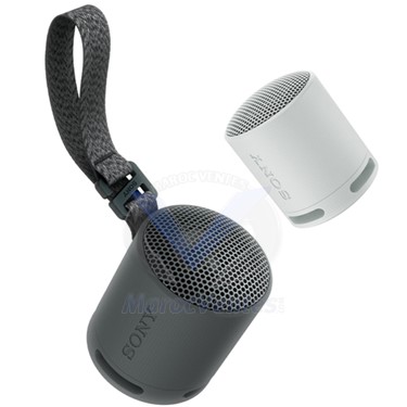 ENCEINTE PORTABLE Boîtier Compact Son Puissant et Clair