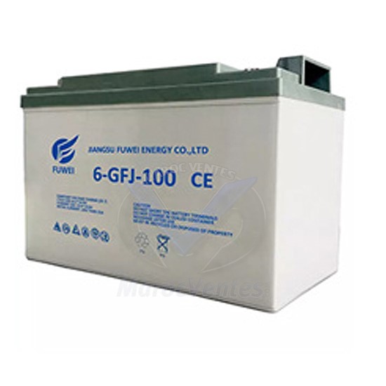 Batterie GEL 12V, 100Ah 6-GFJ-100