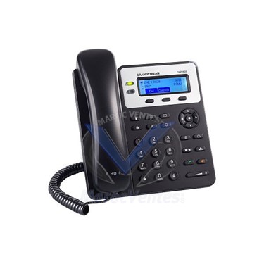 Téléphone IP standard 2 lignes