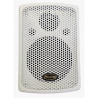 Haut-Parleur MASTER MA-2908