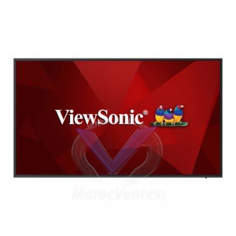 Écran Professionnel 65 Pouces 4K LED avec Prise en Charge des Applications Android CDE6520