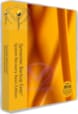 SYMANTEC BACKUP EXEC SYSTEM RECOVERY 2010 DESKTOP 20052612