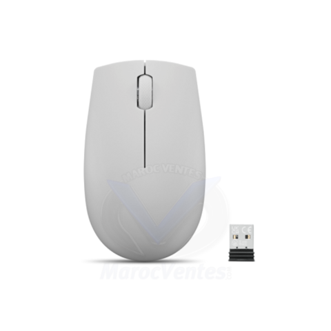 Souris sans fil Lenovo 300 (Cloud Grey) GY51L15677