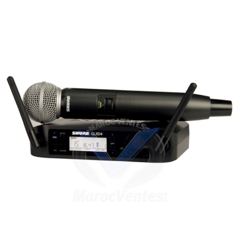 Micro Baladeur Sans Fil à Main BLX24RE/SM58-H8E