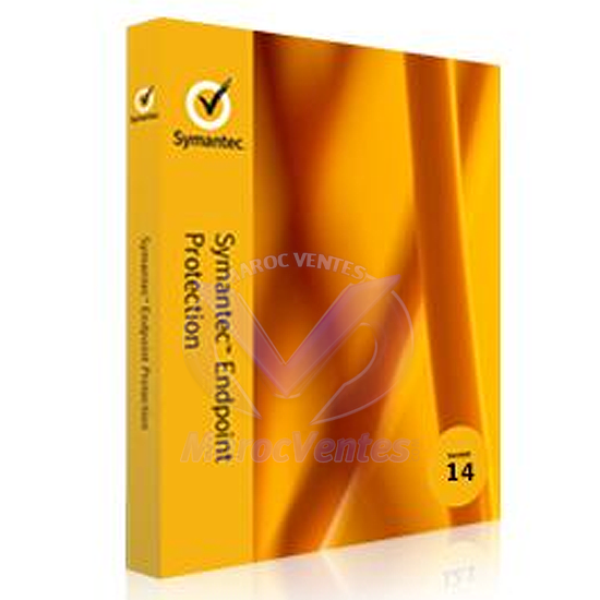 SYM ENDP PRTC 14 PER USER BNDL STD LIC EXP B ESSENTIAL 36 MOIS 2QQQOZF0-EI3EB