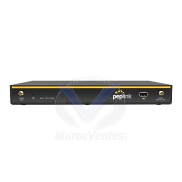 Routeur Balance 20X 1x GE WiFi 900 Mbps Throughput WAN ports - 4x GE LAN ports avec Modem LTE