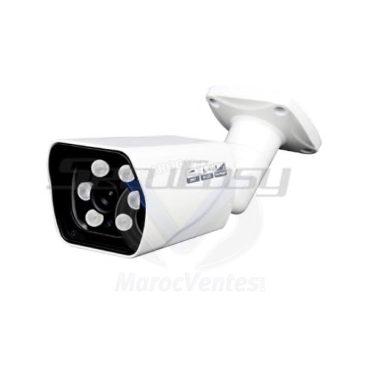Camera COULEUR EXTERIEURE 900TVl (DI-CA358VT) CAM06