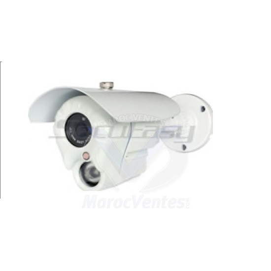 CAMERA COULEUR EXTERIEUR 700TVL HD (CA343R6/8) D1417-8mm