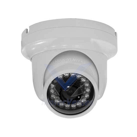 Camera Dome Couleur Aluminium Metal 1/3" SONY 700 TV DI-CV162D D1819