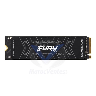 Disque Dur Interne SSD M.2 FURY Renegade Heat Spreader 1000GB PCIe 4.0 NVMe