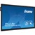 PROLITE Écran Tactile Interactif 4K UHD de 65" (163.9 cm) HDMI/DisplayPort/USB-C 24/7 TE6514MIS-B1AG