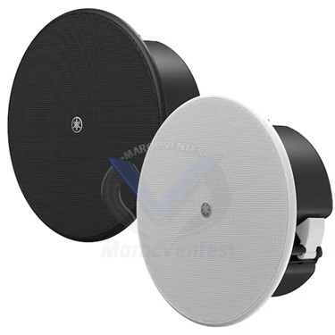 HAUT-PARLEUR PLAFONNIER Encastrables