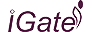 iGate
