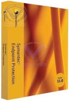 SYMANTEC ENDPOINT PROTECTION 11.0 BAND D BASIC 12MO (100-249users) 12706456