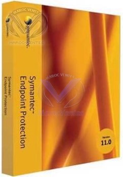SYMANTEC ENDPOINT PROTECTION 11.0 BAND E BASIC 12MO (250-499users) 12706458