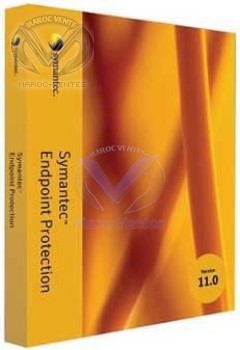 SYMANTEC ENDPOINT PROTECTION 11.0 BAND A BASIC 12MO (5-24users) 12706484
