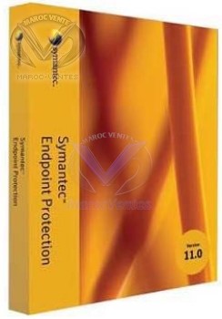 SYMANTEC ENDPOINT PROTECTION 11.0 BAND B BASIC 12MO (25-49users) 12706486