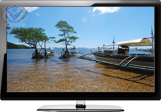 Téléviseur LCD 3D Full HD 42" HDMI x2 + 4 Lunettes 1080P