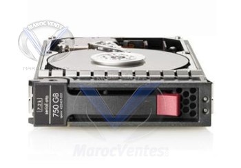 HP 750GB 7.2K HP SATA 1YR SERVICE 432341-B21