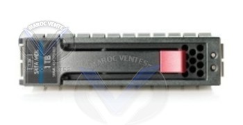Disque SATA 160 Go 7,2Ktpm ETY hot-plug 458945-B21