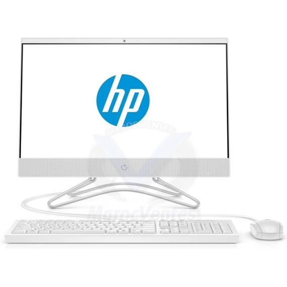 Ordinateur de bureau All-in-One 22-c0000nk i5-8250U 8 Go 1 To 21,5" Win 10 4DG77EA