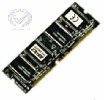 Barette Mémoire 256Mo de RAM avec MiTech