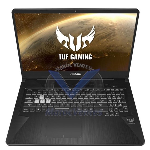 PC Portable Gamer 17,3" AMD Ryzen 7 3750H 8 Go 512 Go SSD Nvidia RTX 1650 Win 10 90NR02B2-M03250