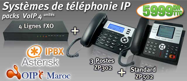 Standard Telephonique IPBX Asterisk a 4 Lignes avec 5 Postes
