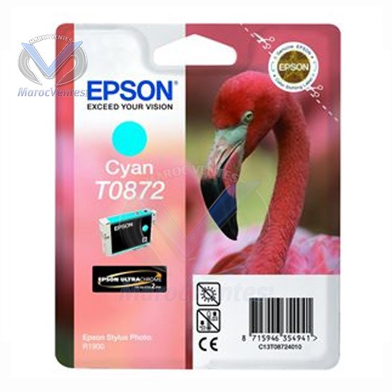 EPSON ENCRE CYAN R1900-EPSON ENCRE CYAN R1900