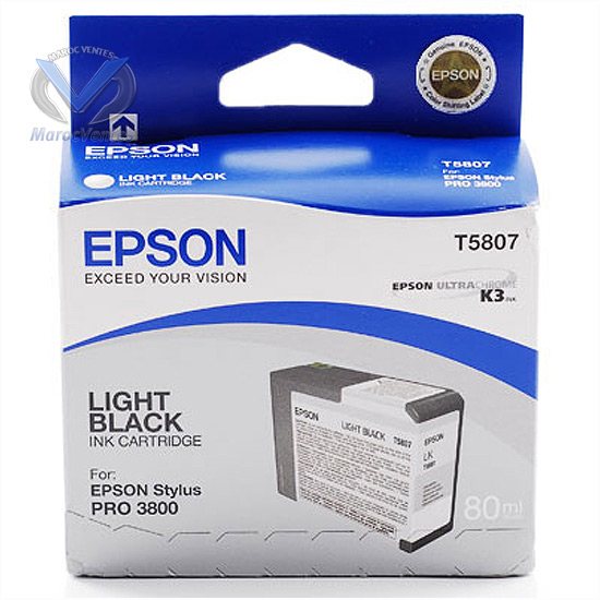 EPSON Carte Grise pour SP 380080ML