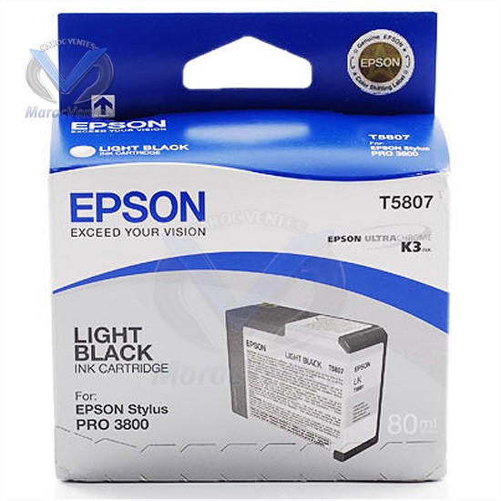 EPSON CART GRISE POUR SP 380080ML-EPSON CART GRISE POUR SP 380080ML