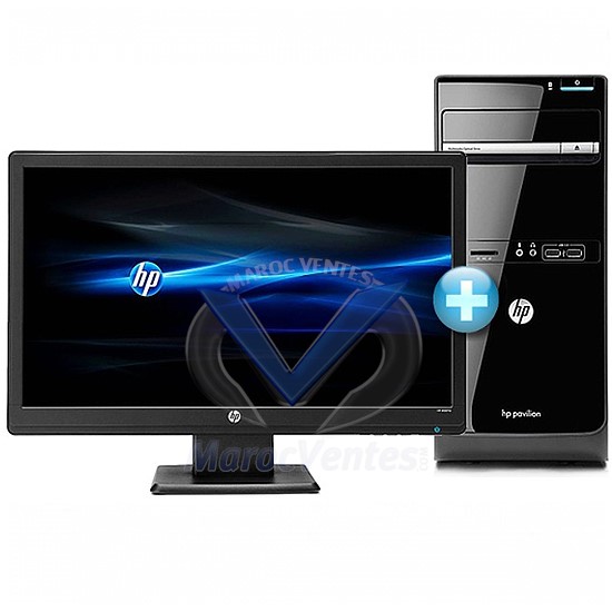 Intel Dual Core G645 2.9 GHz / 2Go / 500Go / FreeDOS + Ecran 18,5" LED C5Y39EA