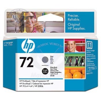 HP 72 Grey and Photo Black Printhead C9380A