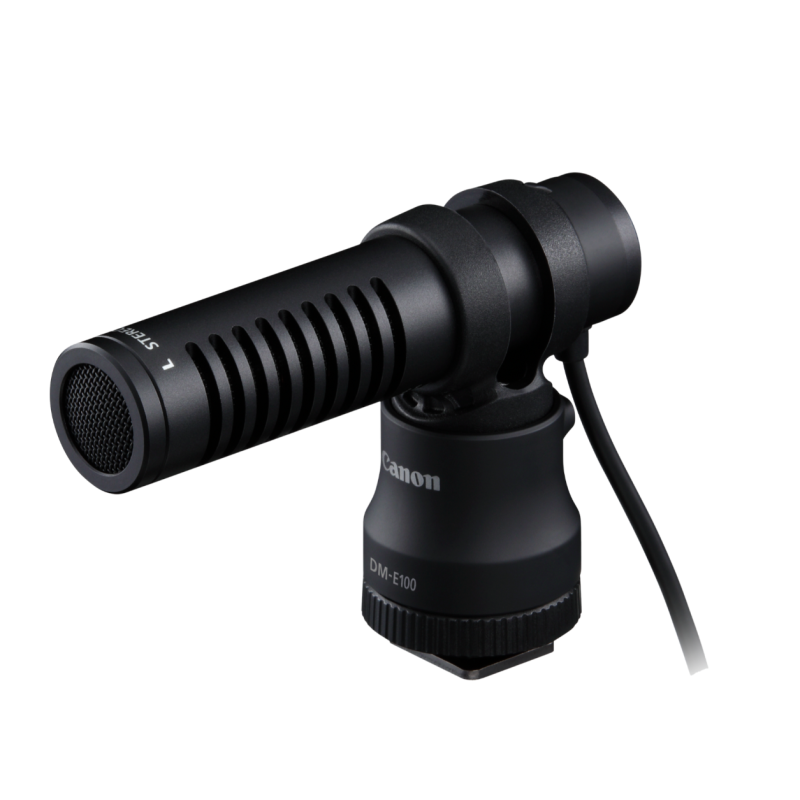 Microphone stéréo DM-E100
