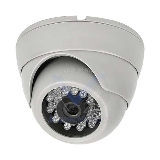 CAMERA DOME 1/3" SONY 700TVL Cam01