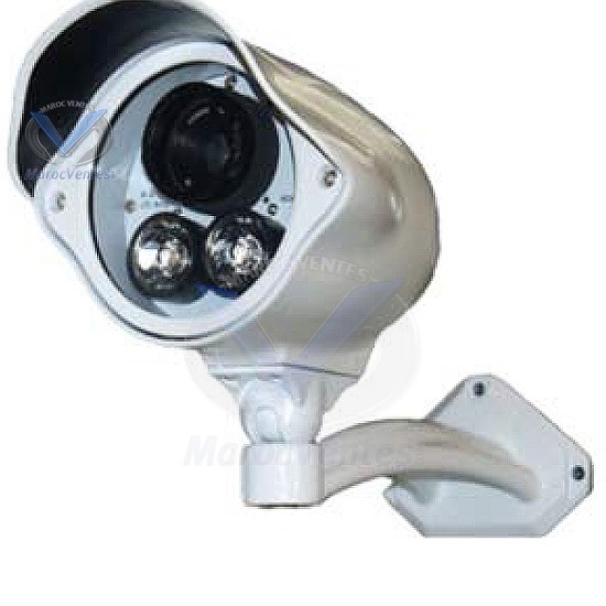CAMERA COULEUR EXTERIEURE 1/3" SONY CCD,DISTANCE: 40-60M D1015