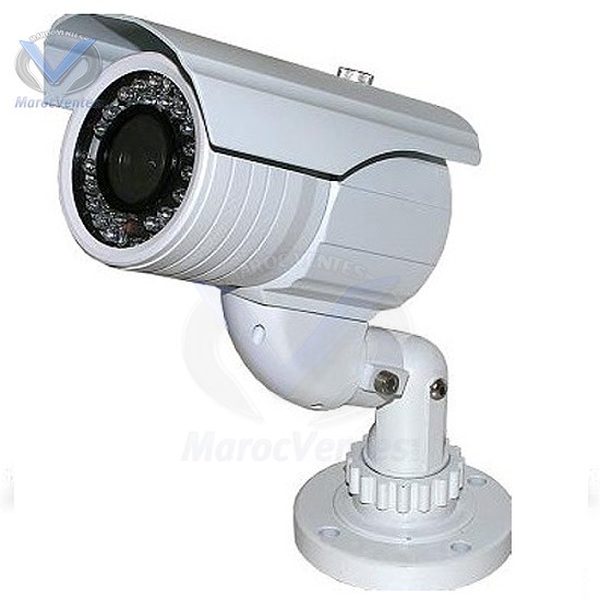 CAMERA COULEUR EXTERIEURE BLANCHE 1/3"SONY D1016