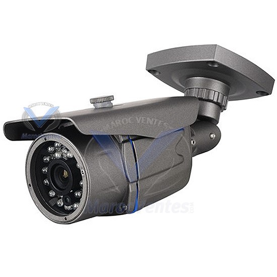 CAMERA COUL.EXT 1/3 DIGITAL HD 600TVL 4-9MM D1105