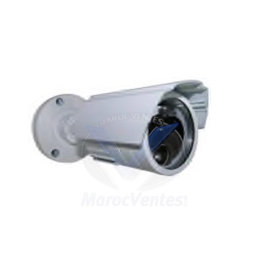 Caméra Color 1/4" SONY CCD 420 TV Lines D1213