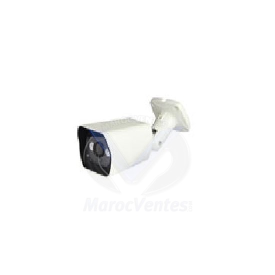 Caméra IP 1 megapixel, 1/4’’progressive scan CMOS D1832
