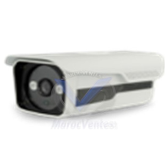 Caméra 2MP Antivandale IR IP D1835