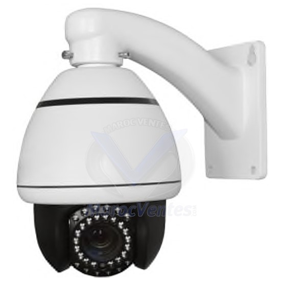 CAMERA IP MINI HIGH SPEED DOME 2MP ZOOM10X+ D2215
