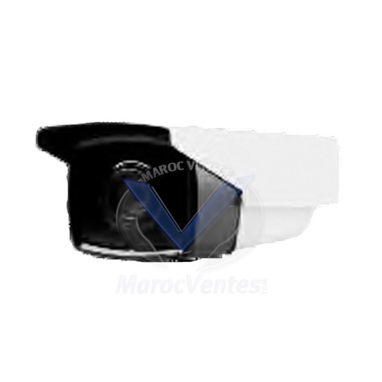 Caméra 720P/1 megapixel, 1/4’’progressive scan CMOS D2411