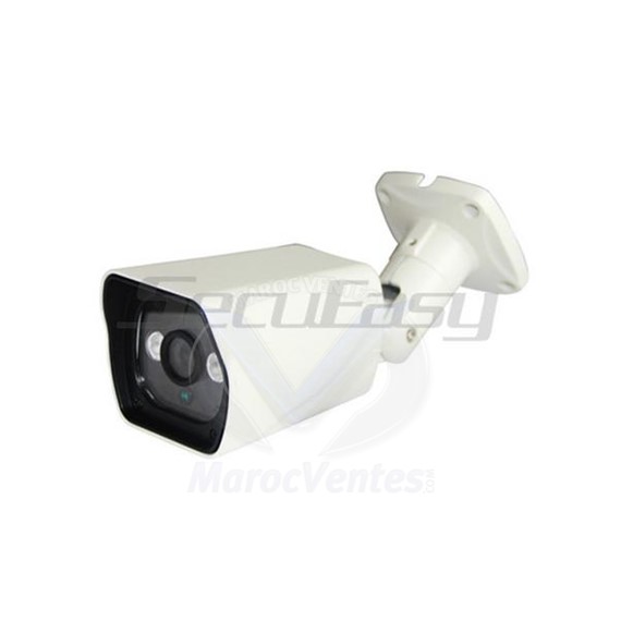 Camera IP 2 MP Etanche Infrarouge avec  POE Fonction D2708