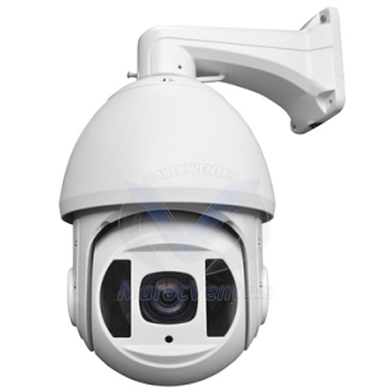 CAMERA IP MINI HIGH SPEED DOME 2MP ZOOM36X D2816A