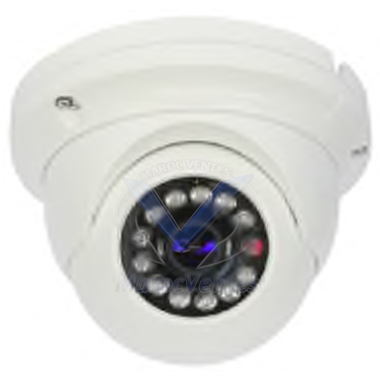 Camera IP Dome 1MP ANTIVANDALE Infrarouge D2844