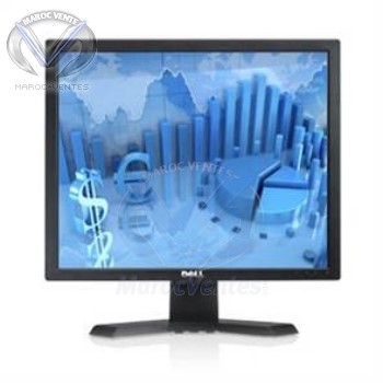 Dell ecran plat 19