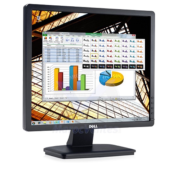Ecran PC LCD 19" (48,3 cm) 1280x1024 VGA E1913S
